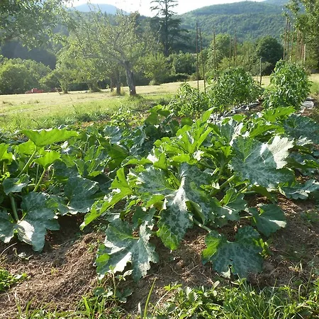 Domaine Lou Cevenol *